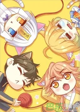 Under the Paws of Cats