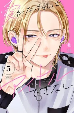 Without Love, I Can't be an Idol cover