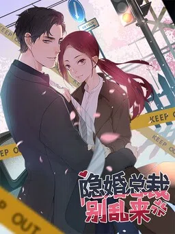 The Hidden Marriage President, Don't Mess Around