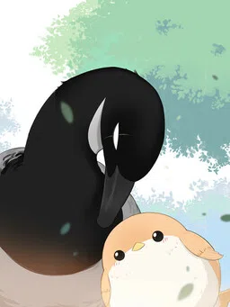 Southern Bird and Northern Bird cover