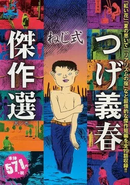 Screw-Style cover