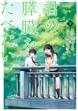Kimi no Suizou wo Tabetai cover