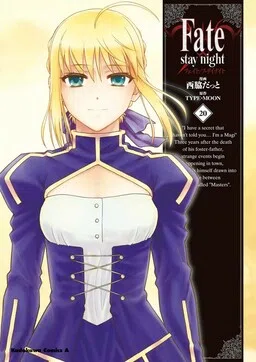 Fate/stay night cover