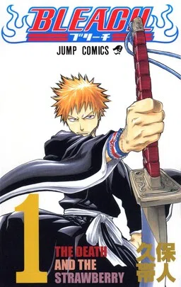 Bleach cover