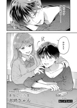 Hontou ni Baka na Onee-chan cover