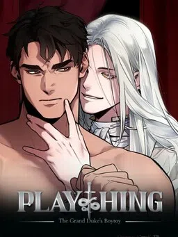 Plaything cover