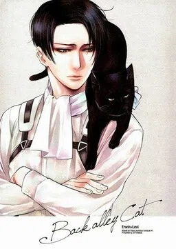 Attack on Titan - Back Alley Cat (Doujinshi)