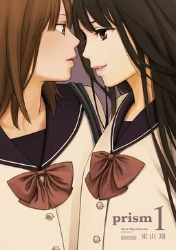 Prism cover