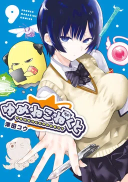 Dreamcatnect cover