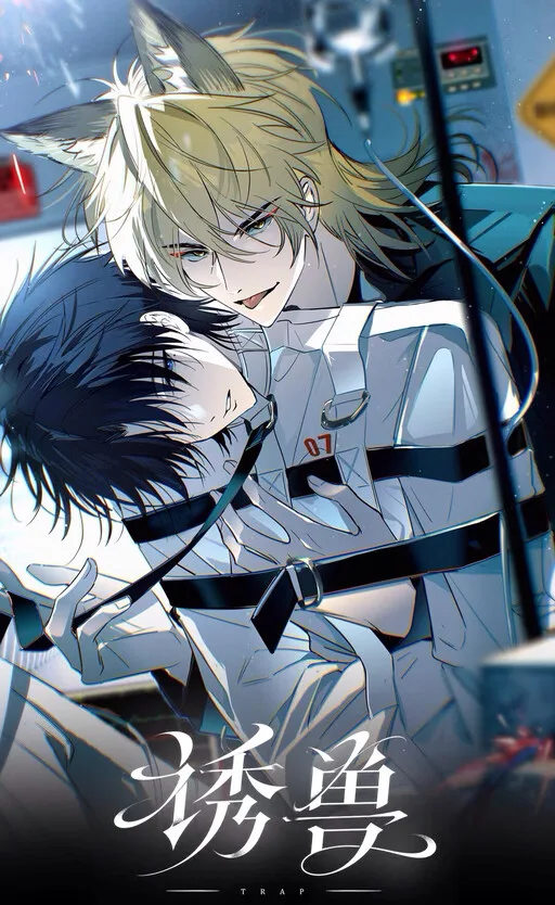 Trap cover