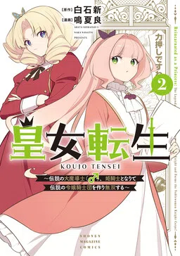 Princess Reincarnation: The Legendary Arch Mage (♂) Becomes a Princess Knight and Creates a Legendary Order of Lady Knights and Becomes Unrivaled cover