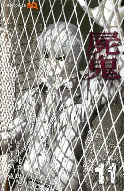 Shiki cover
