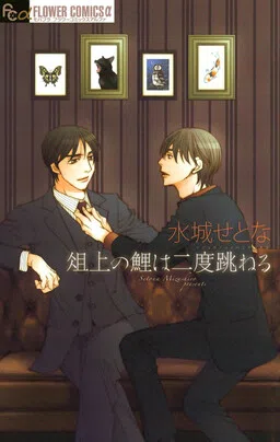 Sojou no Koi wa Nido Haneru cover
