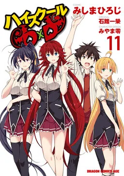 High School DxD cover