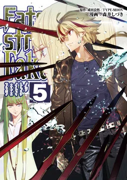 Fate/strange Fake cover