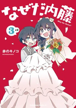 Why-Da Naito? cover