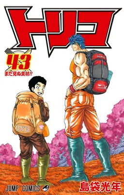TORIKO cover