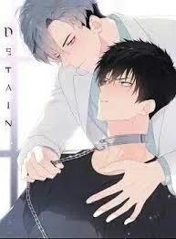 Detain cover