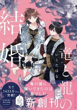 Ryuu to Ryuu no Kekkon cover