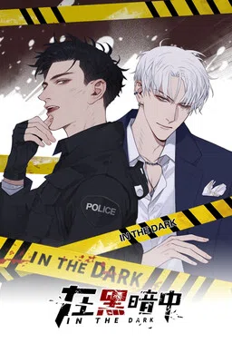 In the Dark cover