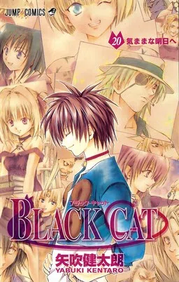 Black Cat cover