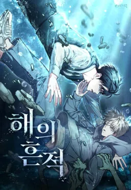 A Trace of the Wonder cover