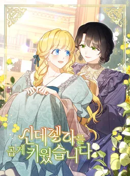A Wicked Tale of Cinderella's Stepmom cover