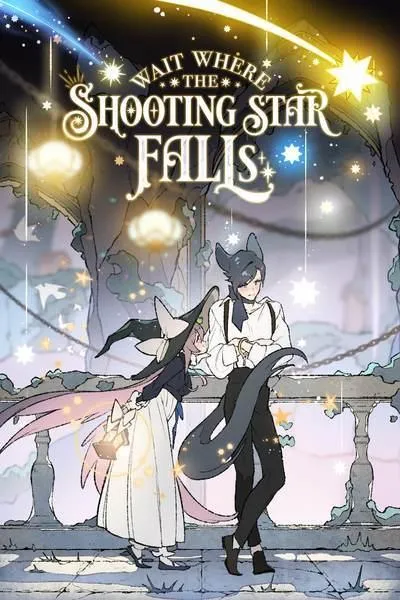 Wait Where the Shooting Star Falls cover