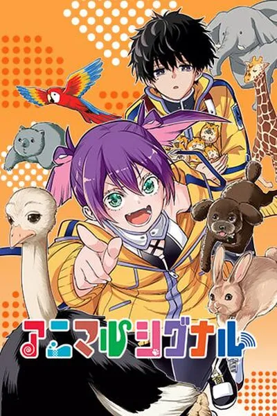 Animal Signal cover